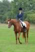 dassa_dressage_5th_sept_2010_003_small.jpg