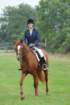 dassa_dressage_5th_sept_2010_004_small.jpg
