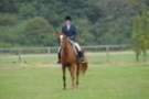 dassa_dressage_5th_sept_2010_006_small.jpg