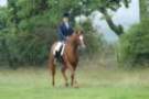 dassa_dressage_5th_sept_2010_008_small.jpg