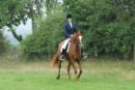 dassa_dressage_5th_sept_2010_009_small.jpg
