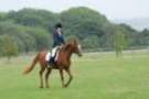 dassa_dressage_5th_sept_2010_011_small.jpg
