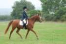 dassa_dressage_5th_sept_2010_012_small.jpg