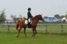dassa_dressage_5th_sept_2010_014_small.jpg