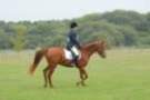 dassa_dressage_5th_sept_2010_015_small.jpg