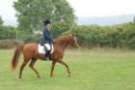 dassa_dressage_5th_sept_2010_016_small.jpg