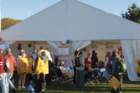 dsc_0003_small.jpg