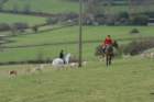 dsc_0259_small.jpg