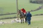 dsc_0261_small.jpg
