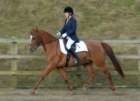 dassa_dressage_23_jan_2011_002_small.jpg