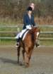 dassa_dressage_23_jan_2011_007_small.jpg
