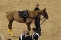2011-03-03_london_polo_index.jpg