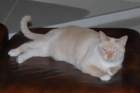 dsc_0132_small.jpg