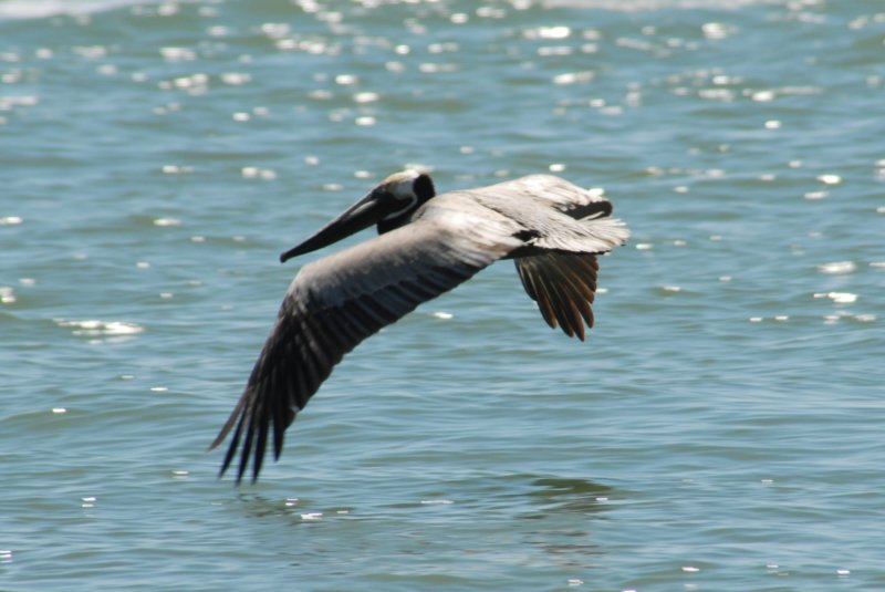 DSC_0194 dsc_0194.jpg