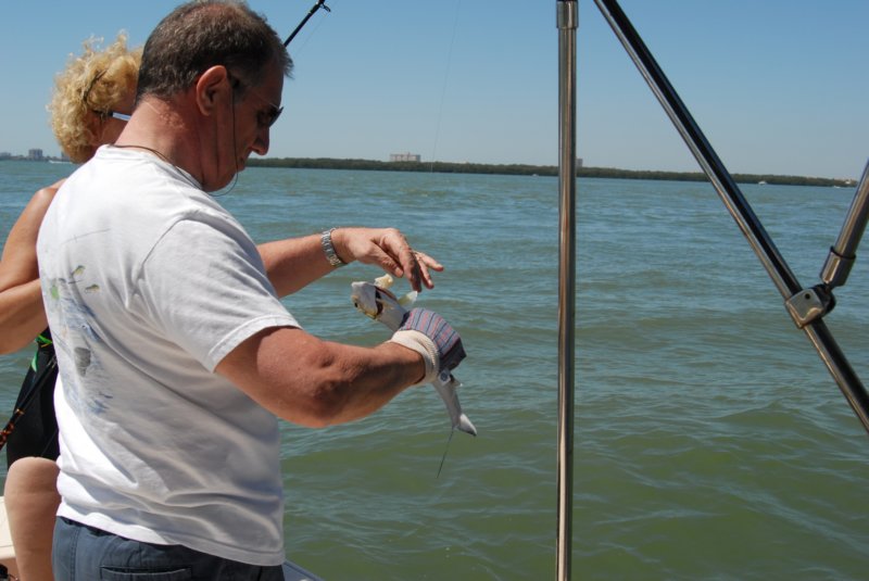 DSC_0208 dsc_0208.jpg