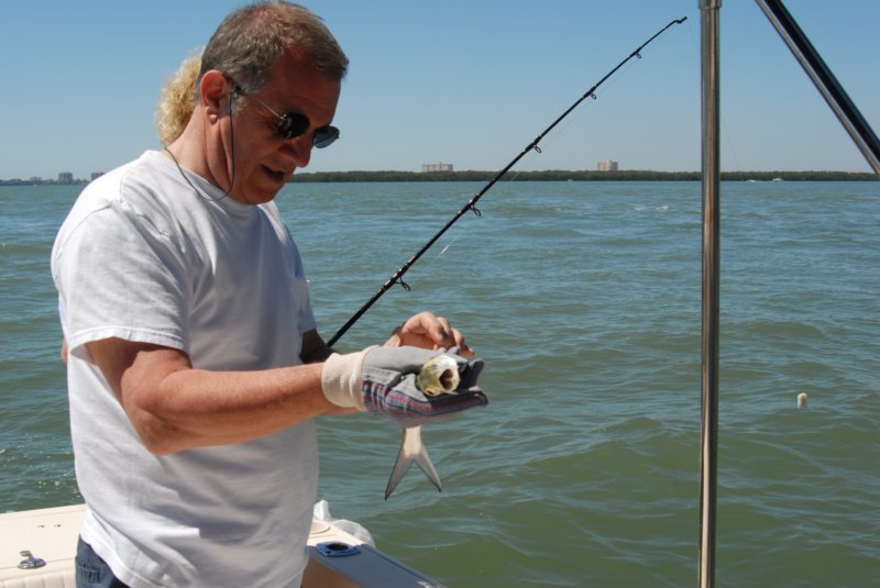 DSC_0215 dsc_0215.jpg