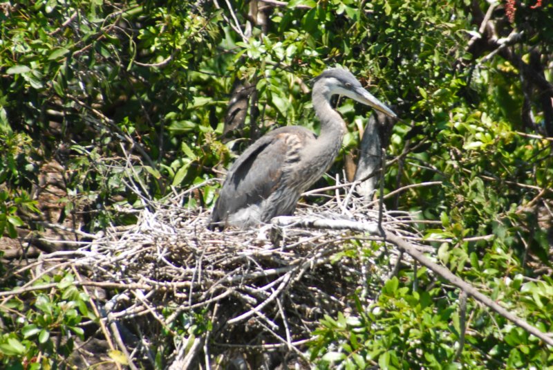 DSC_0234 dsc_0234.jpg