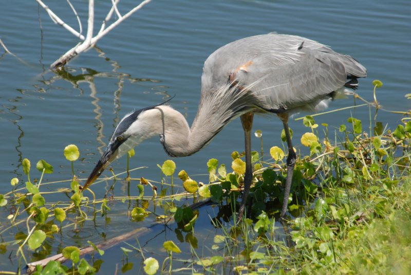 DSC_0236 dsc_0236.jpg