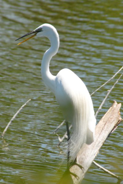 DSC_0281 dsc_0281.jpg