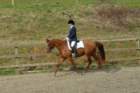 photo7_small.jpg