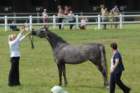 dsc_0001_small.jpg
