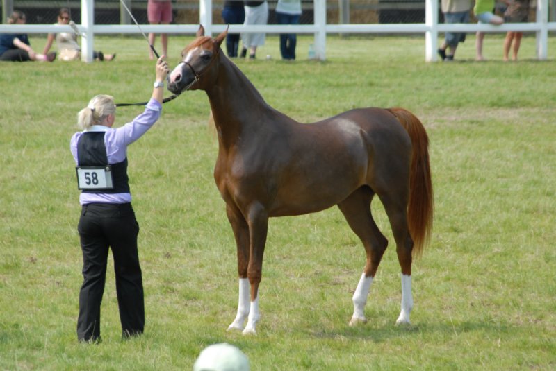 DSC_0002 dsc_0002.jpg