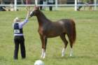 dsc_0002_small.jpg