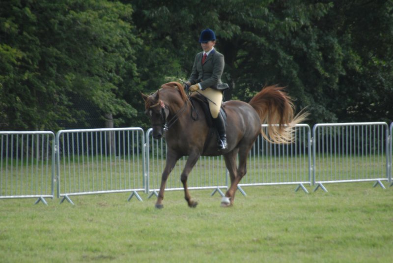 DSC_0003 dsc_0003.jpg