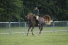dsc_0003_small.jpg