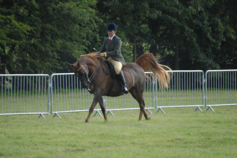 DSC_0004 dsc_0004.jpg