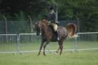 dsc_0005_small.jpg