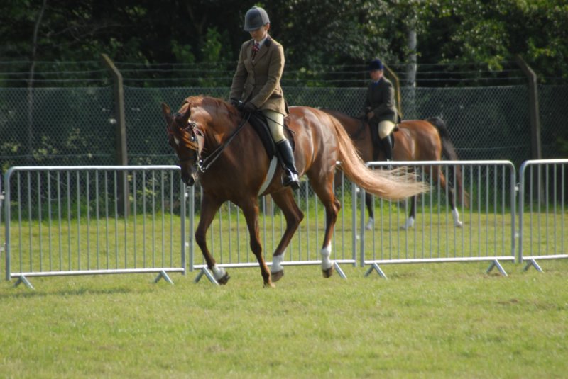 DSC_0007 dsc_0007.jpg