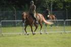 dsc_0007_small.jpg