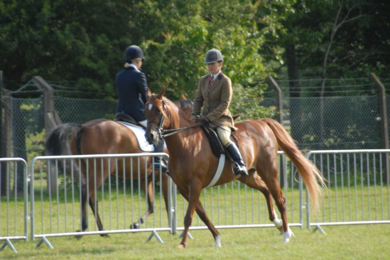 DSC_0008 dsc_0008.jpg