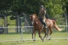 dsc_0009_small.jpg