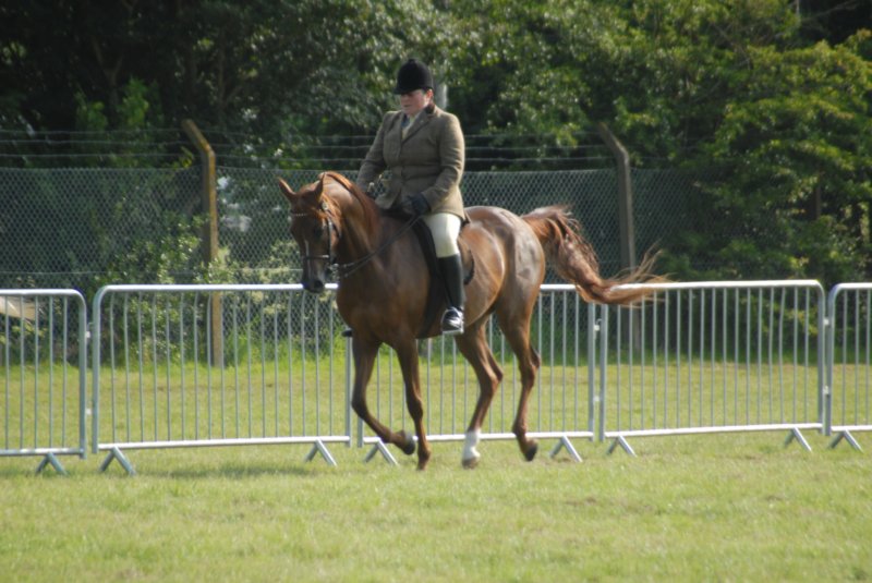 DSC_0010 dsc_0010.jpg