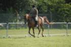 dsc_0010_small.jpg