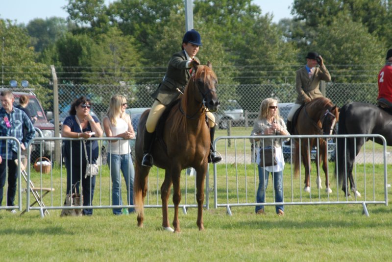 DSC_0011 dsc_0011.jpg