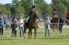 dsc_0011_small.jpg