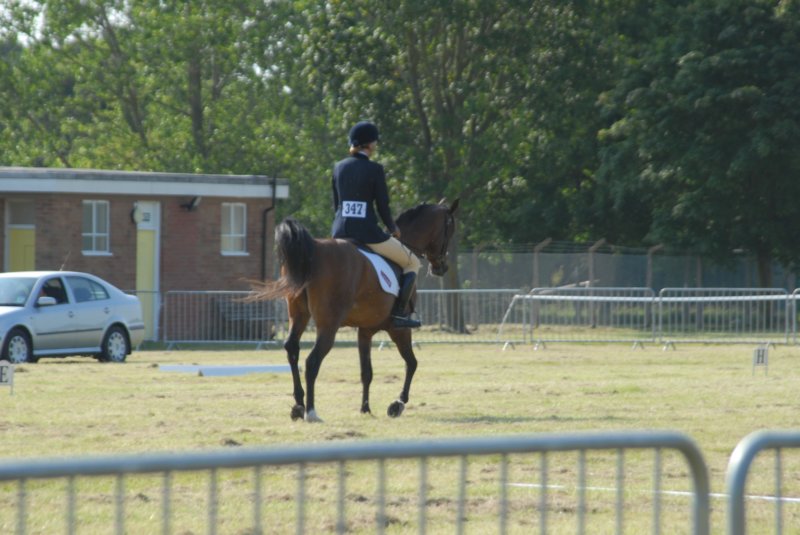 DSC_0012 dsc_0012.jpg