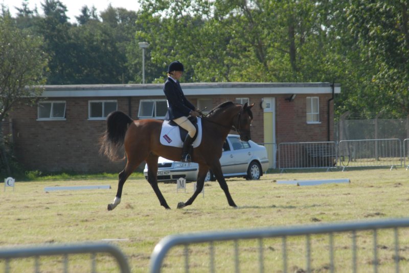DSC_0017 dsc_0017.jpg