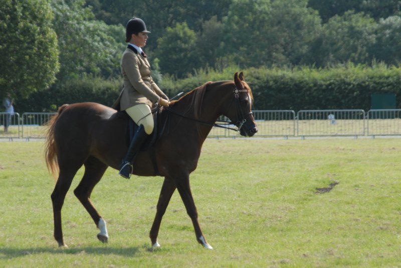 DSC_0025 dsc_0025.jpg