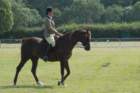 dsc_0026_small.jpg