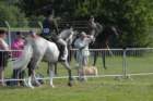 dsc_0027_small.jpg