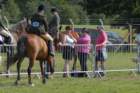 dsc_0028_small.jpg