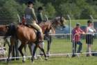 dsc_0030_small.jpg