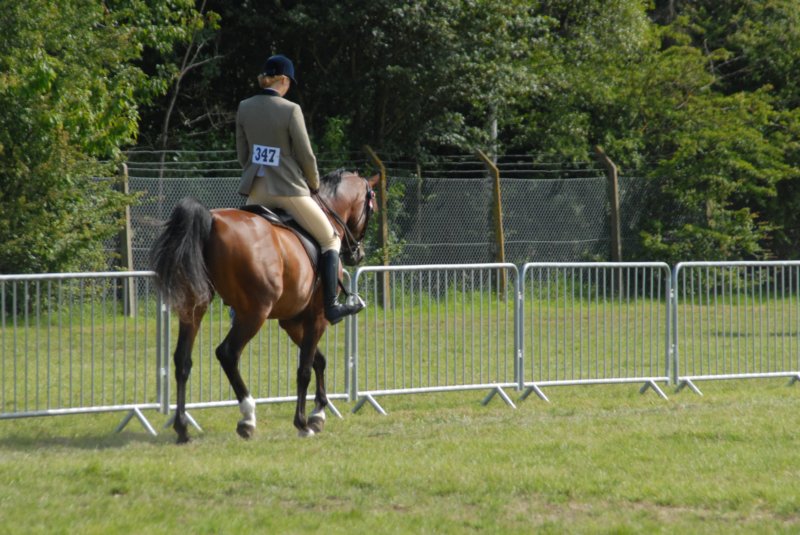 DSC_0033 dsc_0033.jpg