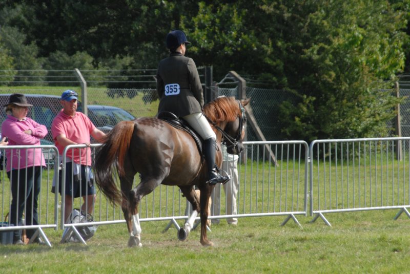 DSC_0034 dsc_0034.jpg
