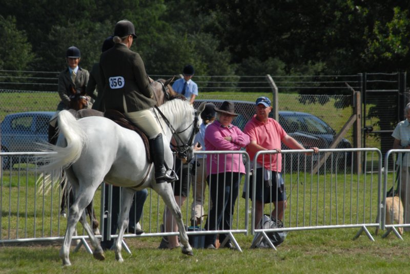 DSC_0036 dsc_0036.jpg
