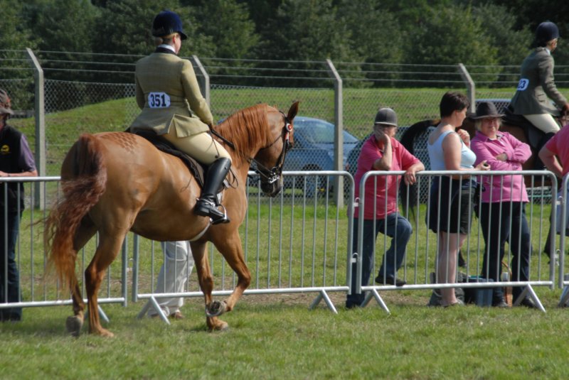 DSC_0038 dsc_0038.jpg